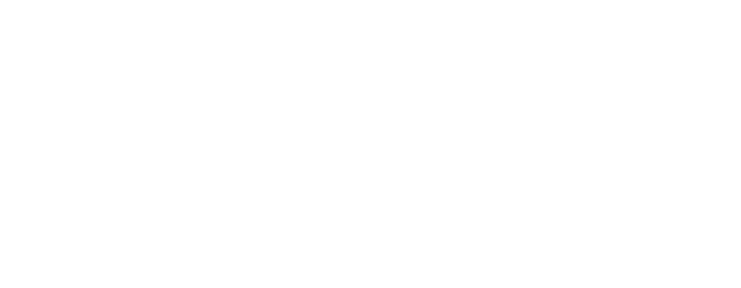 LANGUAGE_ESSENTIALS_logo_white
